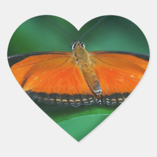Sticker Cœur Papillon brillant orange et noir sur une feuille