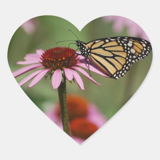Sticker Cœur Papillon Monarque sur Fleur (Devant)