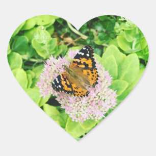 Sticker Cœur Papillon Monarque sur Fleurs de Pierre