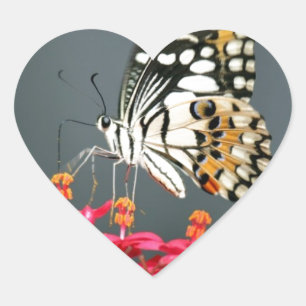 Sticker Cœur Papillon noir et jaune blanc sur Fleurs roses