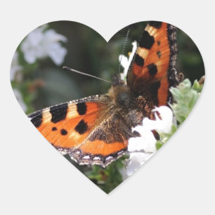 Sticker Cœur Papillon orange et noir sur Fleurs blanches