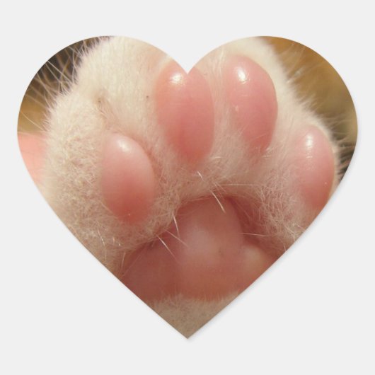 Sticker Cœur Pegatina de pata de gato (Devant)