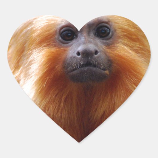 Sticker Cœur Personnaliser (Devant)