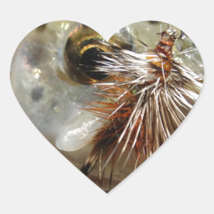 Sticker Cœur Photo de truite arc-en-ciel