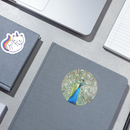 Sticker Cœur Photo Plumage Peacock bleu