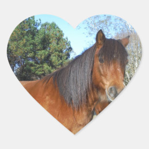Sticker Cœur Poney brun ciel turquoise
