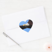 Sticker Cœur Portrait de Bald Eagle (Enveloppe)