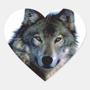 Sticker Cœur Portrait Wolf