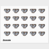 Sticker Cœur Ragdoll Kittens (Feuille)