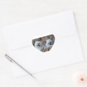 Sticker Cœur Ragdoll Kittens (Enveloppe)