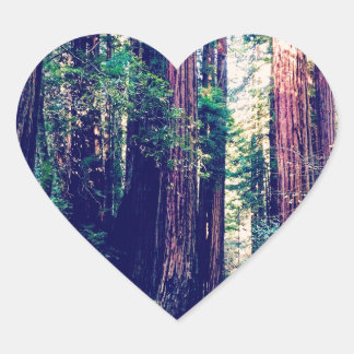 Sticker Cœur Redwoods Californie