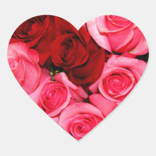 Sticker Cœur Rose, rose et rouge