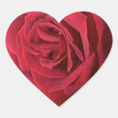 Sticker Cœur Rose rouge (Devant)
