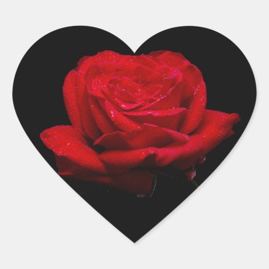 Sticker Cœur Rose rouge (Devant)