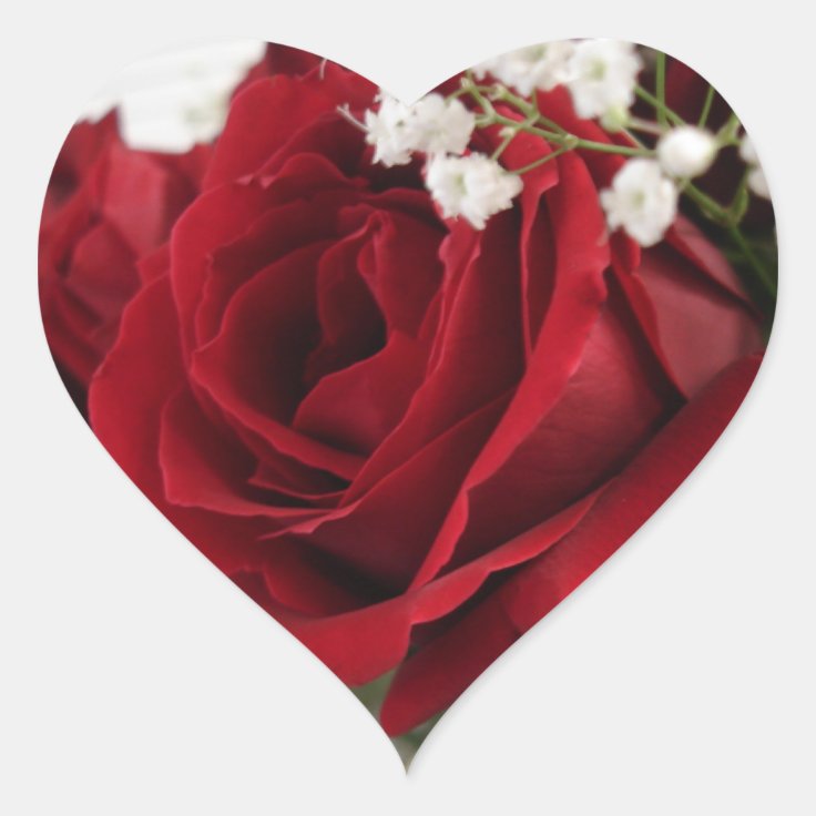Sticker Cœur Rose rouge rouge - en forme de coeur | Zazzle.be