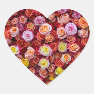 Sticker Cœur Roses Florales de Couleurs Mixtes Vibrantes