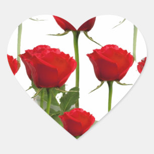 STICKER CŒUR ROSES ROUGES SUR BLANC