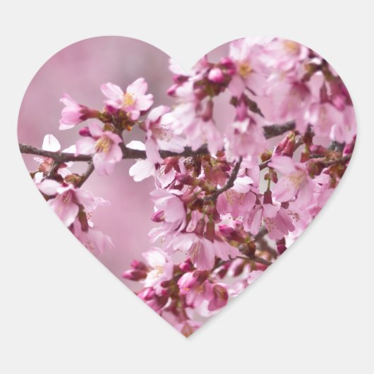 Sticker Cœur Sakura Cherry Blossoms Pastel Pink Layers (Devant)