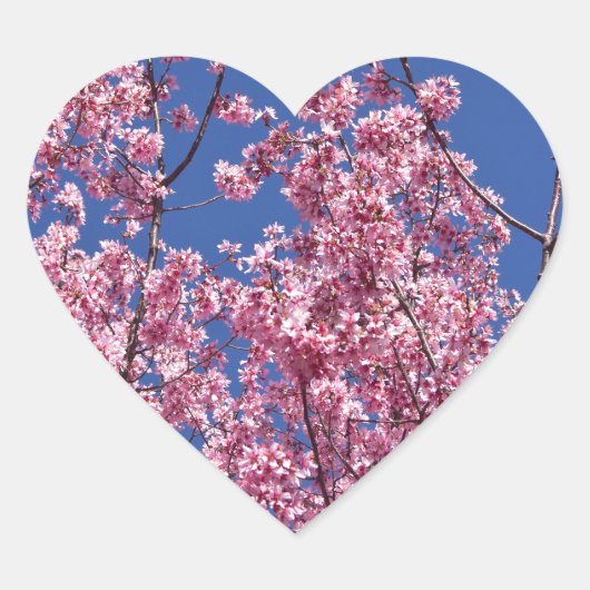 Sticker Cœur Sakura Cherry Fleurit Dans Le Bleu (Devant)