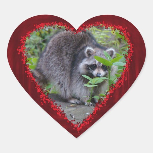 Sticker Cœur Salutation de Saint Valentin - Shy Raccoon (Devant)