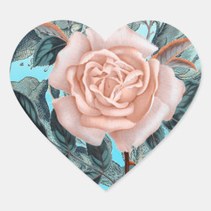 Sticker Cœur Saumon rose sombre rose