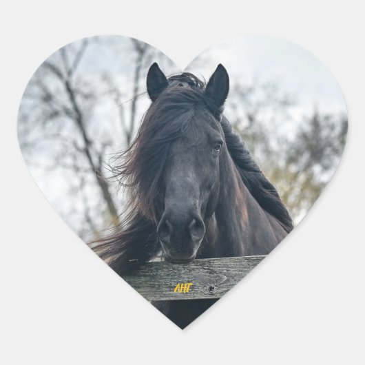 Sticker Cœur Secourt Cheval AHT (Devant)