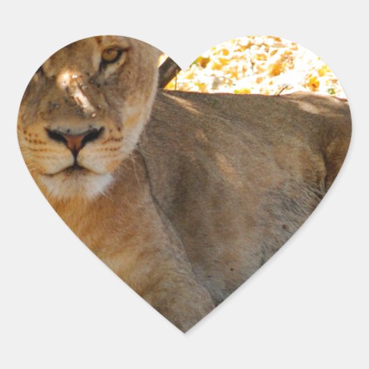 Sticker Cœur Siesta Time (Devant)