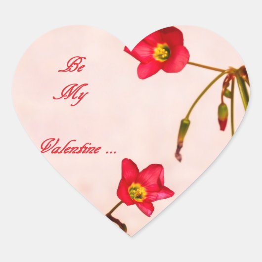 Sticker Cœur Sois ma Saint Valentin (Devant)