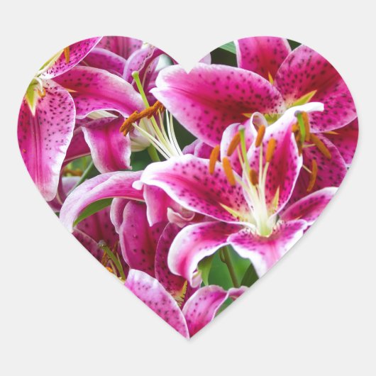 Sticker Cœur Stargazer Lilies (Devant)