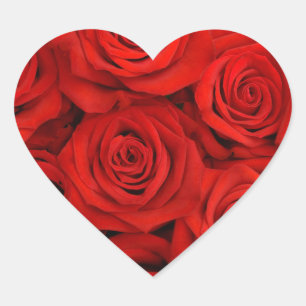 Sticker Cœur Stickers-Roses rouges