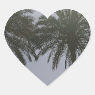 Sticker Cœur Sun Trees Egypt.