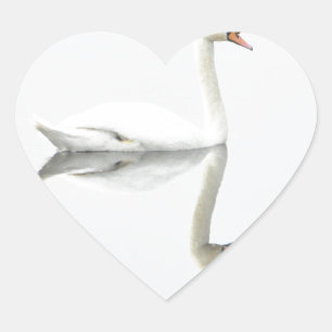 Sticker Cœur Swan