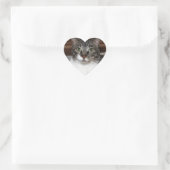 Sticker Cœur Tabby Cat Vous regardez Photo (Sac)