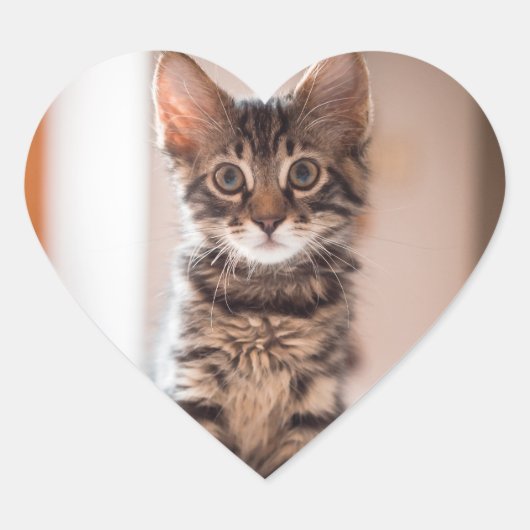 Sticker Cœur Tabby Kitten sur la table (Devant)