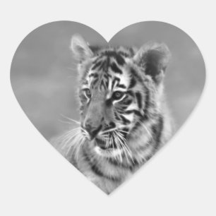 Sticker Cœur Tigre de bébé en noir et blanc