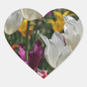 Sticker Cœur Tulipes
