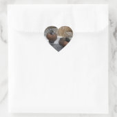 Sticker Cœur Turquoise Brown (Sac)