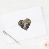 Sticker Cœur Turquoise Brown (Enveloppe)
