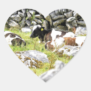 Sticker Cœur Vaches qui mugissent