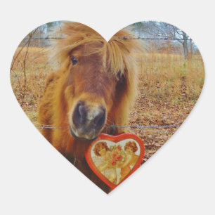 Sticker Cœur Valentine Heart Miniature Brown Horse