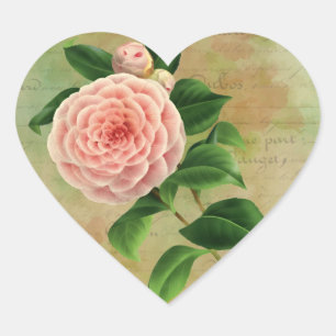 Sticker Cœur Vintage Camellia Botanique