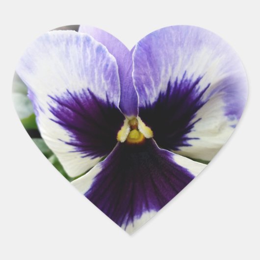 Sticker Cœur violet profond sur blanc (Devant)