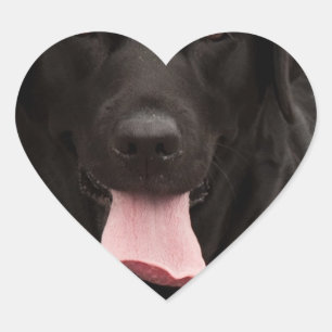 Sticker Cœur Visage de chien noir