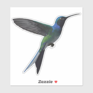 Sticker Colibri