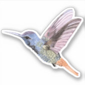Sticker Colibri dessiné main (Devant)