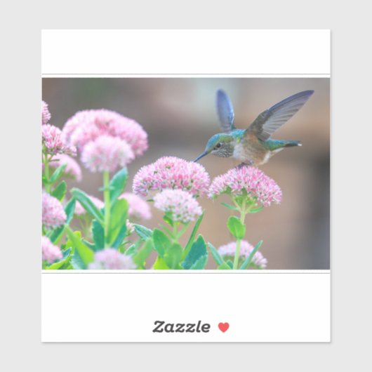 Sticker Colibri Et Nectar (Feuille)