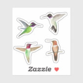 Sticker Colibri nord-américain (Feuille)