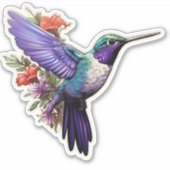 Sticker Colibri pourpre (Devant)