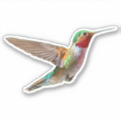 Sticker Colibri réaliste (Devant)