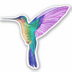Sticker Colibri Tropical